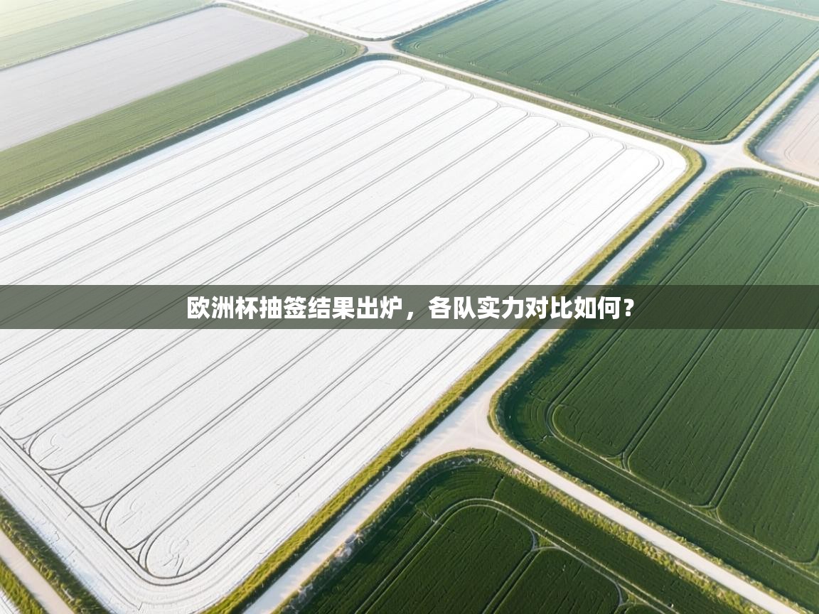 海星体育网页版入口-欧洲杯抽签结果出炉,各队实力对比如何? 第3张