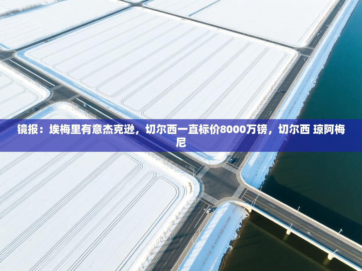 海星体育app下载-镜报：埃梅里有意杰克逊，切尔西一直标价8000万镑，切尔西 琼阿梅尼  第1张