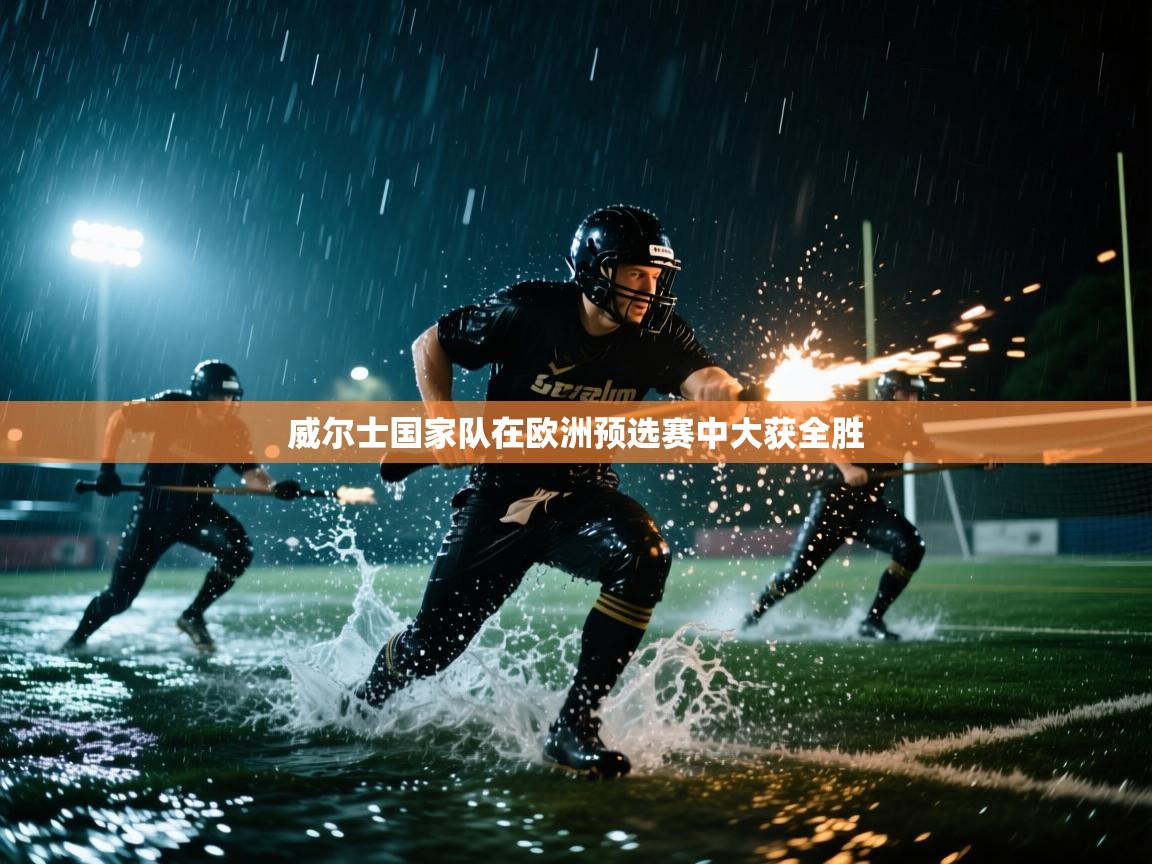 海星体育直播-威尔士国家队在欧洲预选赛中大获全胜 第2张