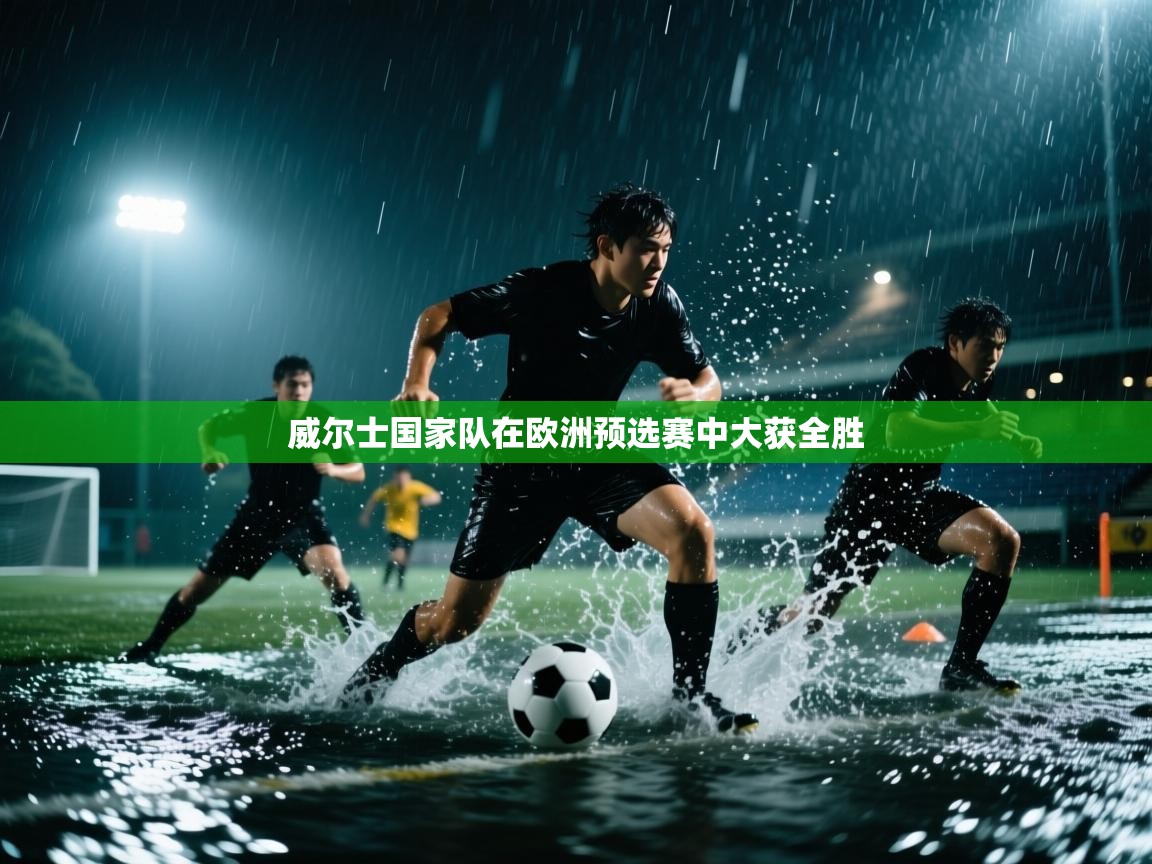 海星体育直播-威尔士国家队在欧洲预选赛中大获全胜 第3张
