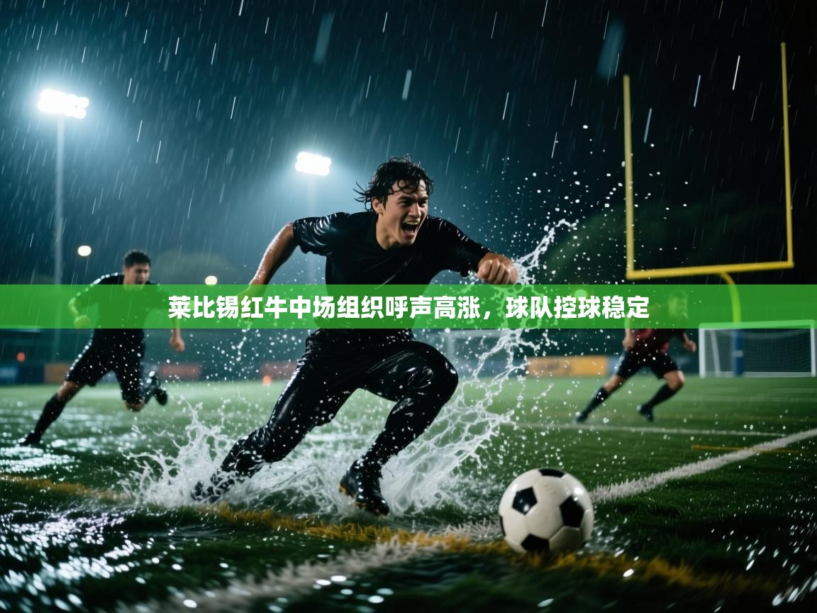 海星体育直播平台官网-莱比锡红牛中场组织呼声高涨，球队控球稳定  第3张
