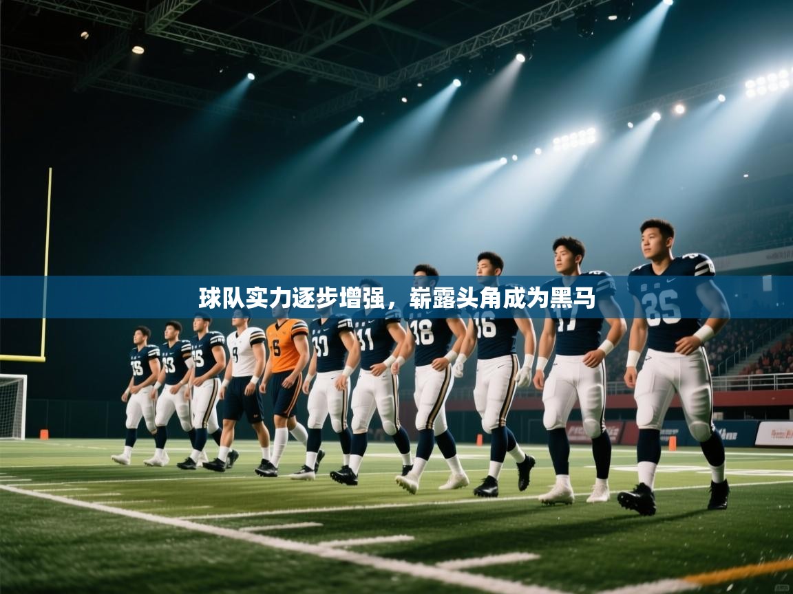 海星体育直播在线观看-高清免费赛事直播平台-海星体育直播-球队实力逐步增强，崭露头角成为黑马  第1张