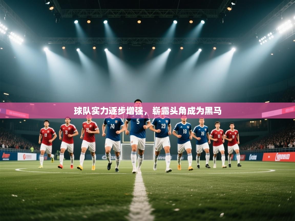 海星体育直播在线观看-高清免费赛事直播平台-海星体育直播-球队实力逐步增强，崭露头角成为黑马  第4张